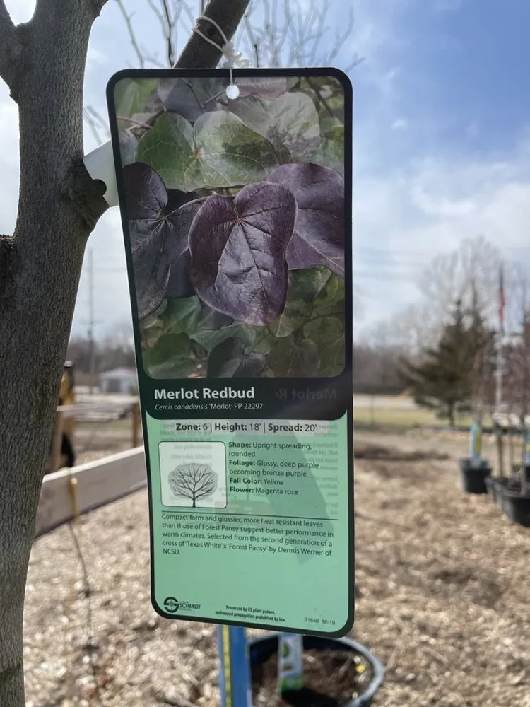 Affordable lawn care service for homes in Hutchinson, KS by Prairie Hills Nursery and Plant Shop