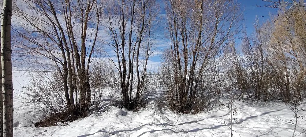 Top-rated yard cleanup service in Jerome, ID by Prairie Landscaping & Hardscaping