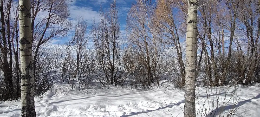 Trusted lawn care service experts serving Jerome, ID - Prairie Landscaping & Hardscaping