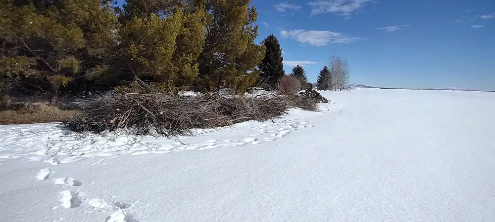 Custom landscape design in Jerome, ID by Prairie Landscaping & Hardscaping