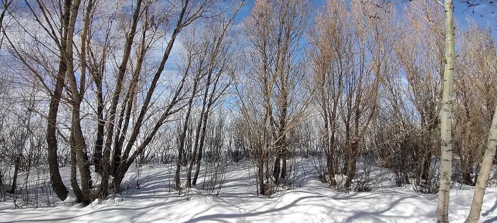 Reliable landscape installation experts serving Jerome, ID - Prairie Landscaping & Hardscaping