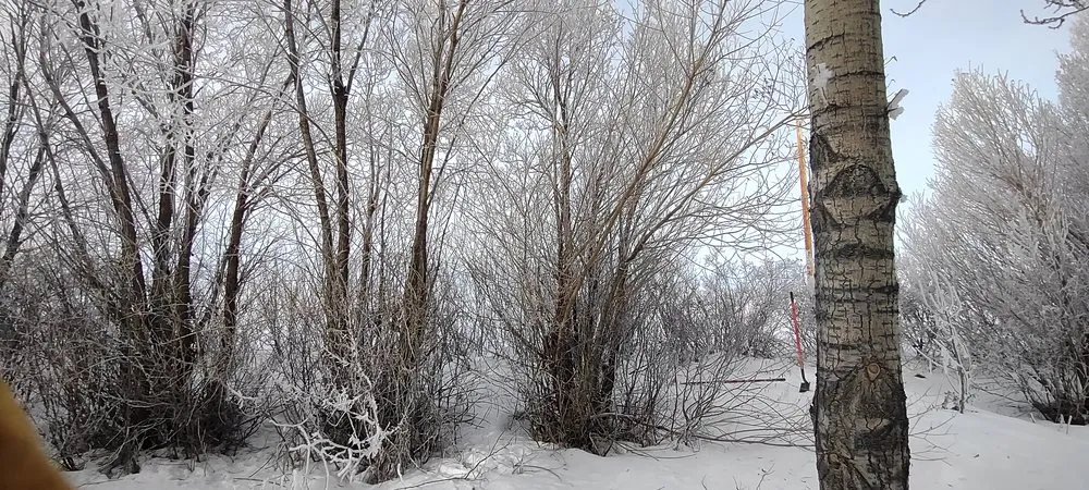 Professional landscape installation in Jerome, ID - Prairie Landscaping & Hardscaping