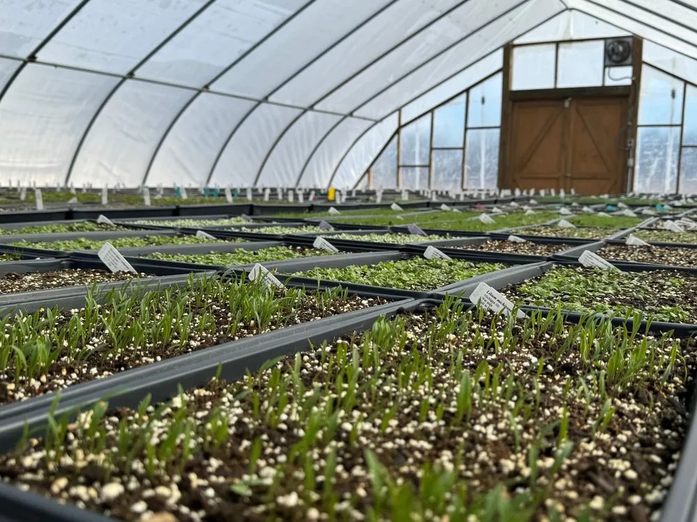 Local lawn mowing service experts serving Princeton, MN - Prairie Restorations