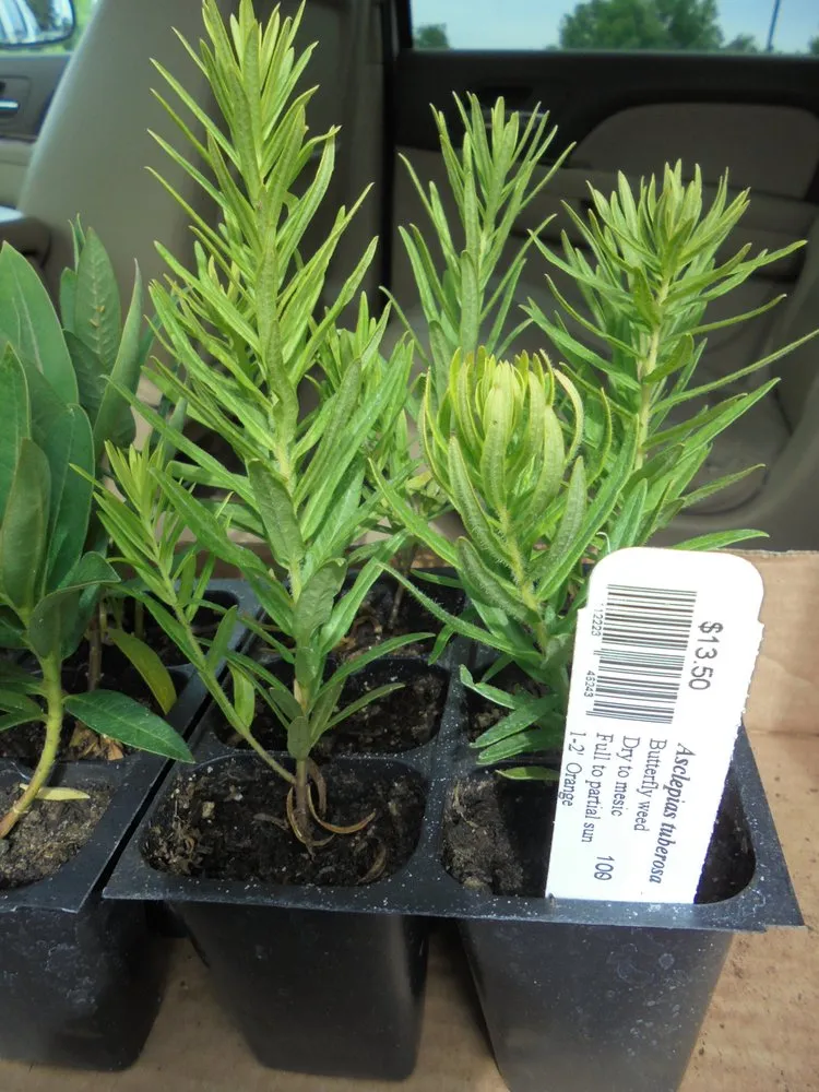 Local garden landscaping near you across Princeton, MN - Prairie Restorations