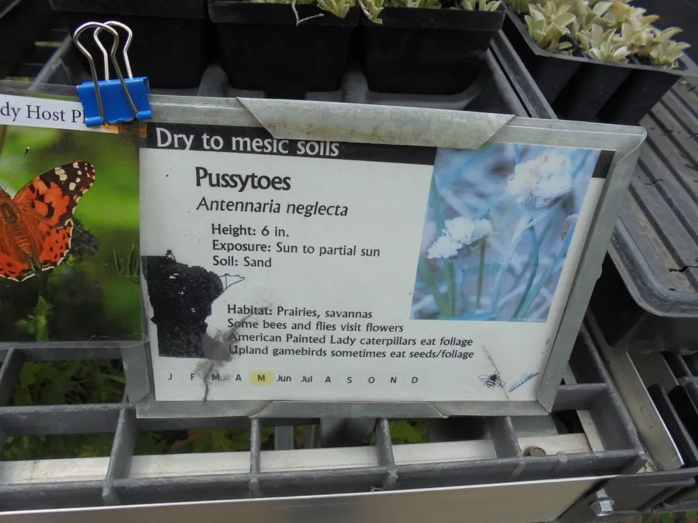 Top-rated yard maintenance experts serving Princeton, MN - Prairie Restorations