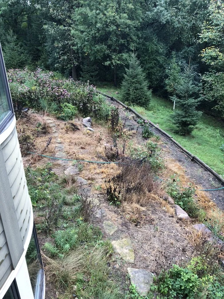 Custom landscaping services in Scandia, MN by Prairie Restorations