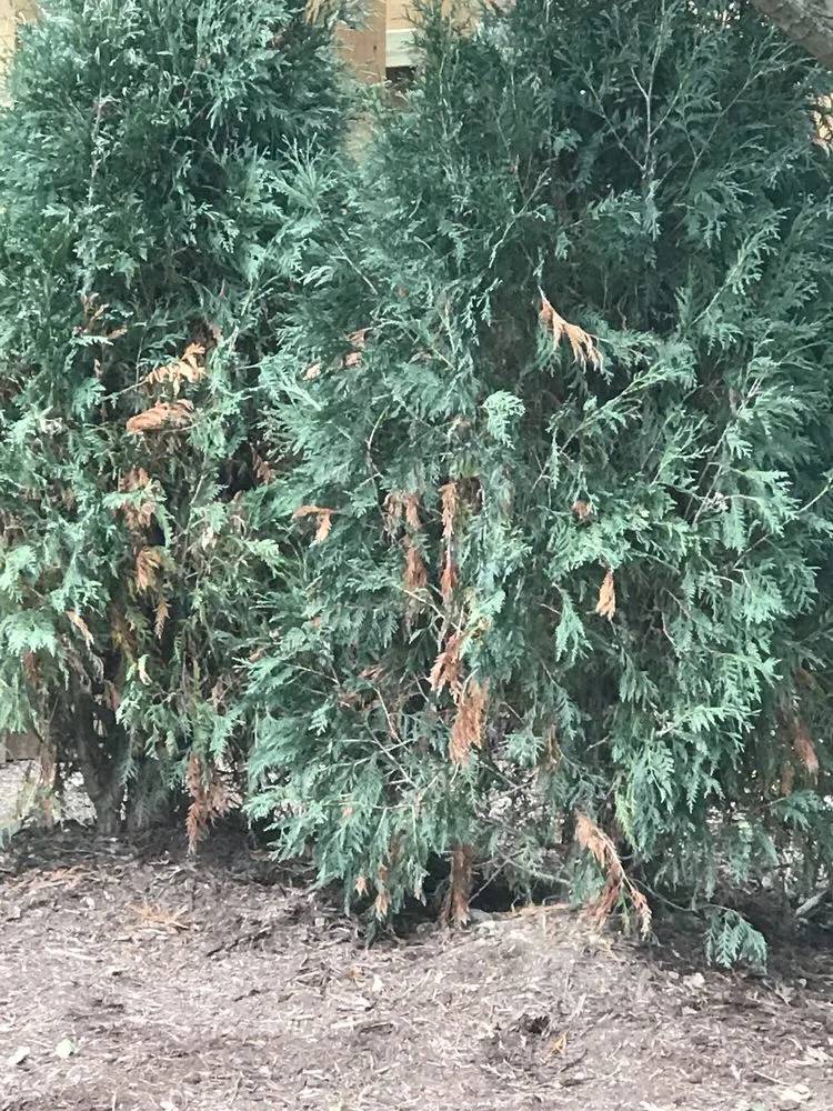 Trusted outdoor landscaping experts serving Bloomington, IL - Prairie View Landscaping & Lawn Care