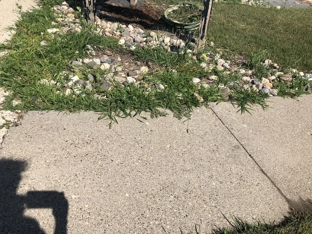 Top-rated landscape installation for homes across Baldwin, ND - Prairie View Landscaping & Nursery