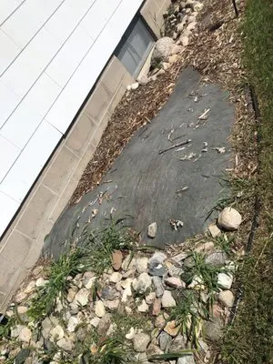 Prairie View Landscaping & Nursery