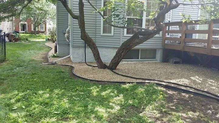 Trusted lawn care service experts serving Marion, IA - Prairie Winds Lawn & Landscaping