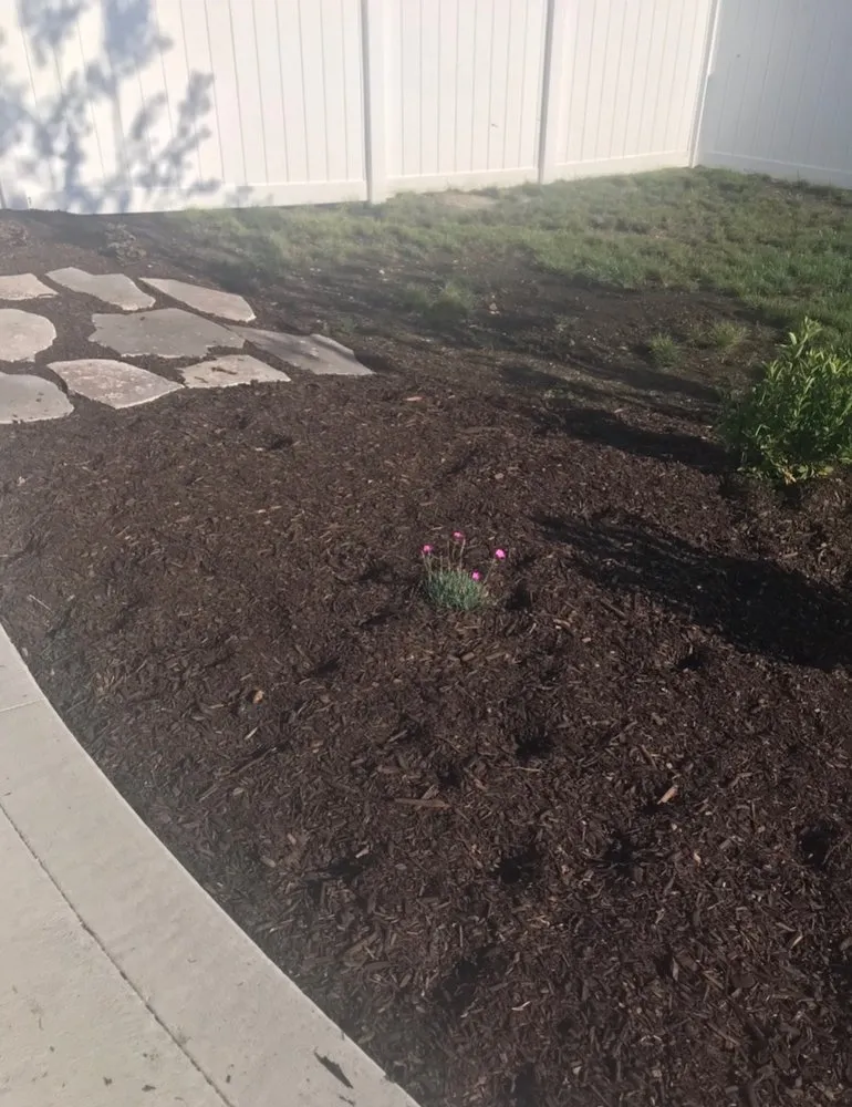 Top-rated yard cleanup service in Champaign, IL by Prairieview Landscaping