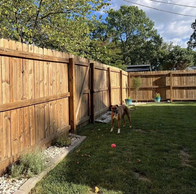 Affordable landscape design for outdoor upgrades across Newburgh, IN - Prather Landscaping