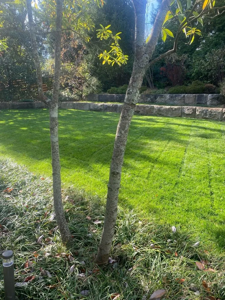 Trusted landscaping services for beautiful yards in Georgetown, KY by Pratt's Lawn & Landscape