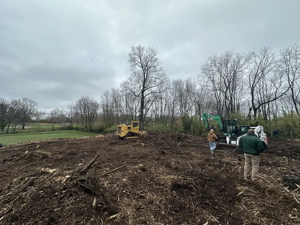 Expert yard cleanup service experts serving Georgetown, KY - Pratt's Lawn & Landscape