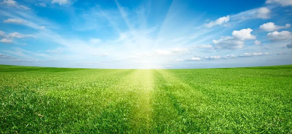 Expert lawn care service in Prattville, AL - Prattville Lawn Pros