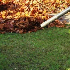 Professional yard maintenance for homes across Prattville, AL - Prattville Lawn Pros