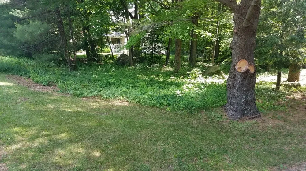 Local landscape installation in Goshen, CT by Prause Enterprises