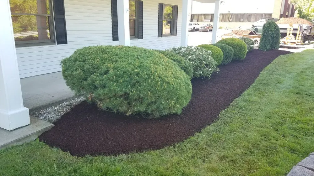 Custom yard cleanup service near you in Goshen, CT by Prause Enterprises