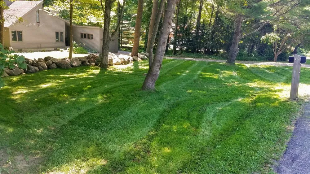 Professional yard cleanup service for beautiful yards in Goshen, CT by Prause Enterprises