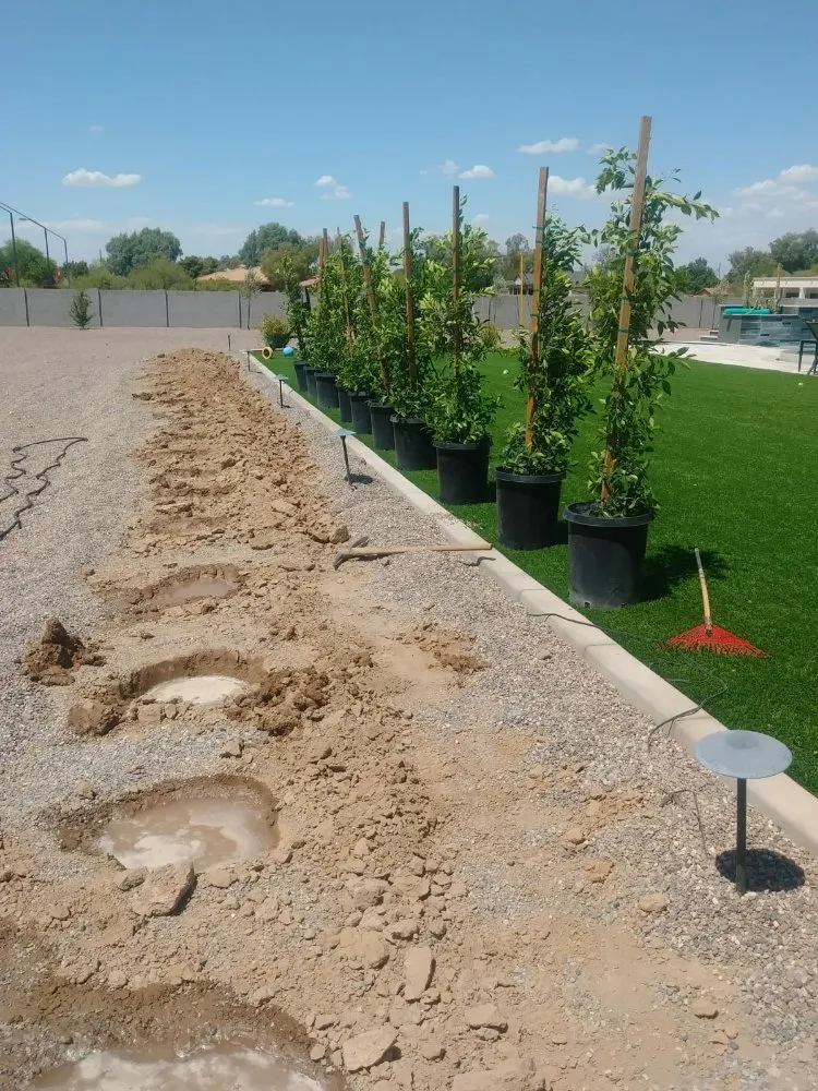 Trusted garden landscaping in Phoenix, AZ - Praying Mantis Landscaping