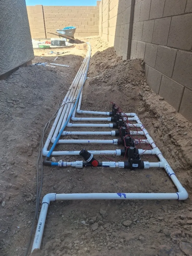 Affordable garden landscaping for year-round maintenance across Phoenix, AZ - Praying Mantis Landscaping