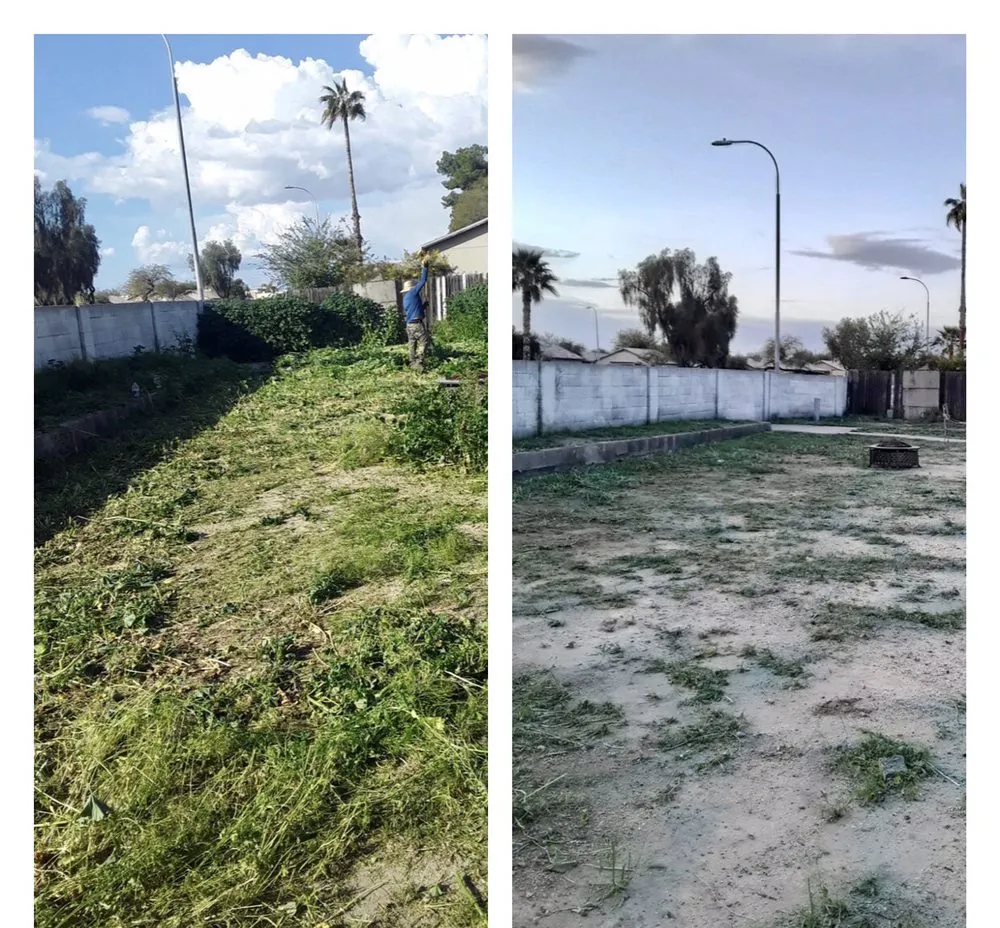 Reliable landscape design in Phoenix, AZ - Praying Mantis Landscaping