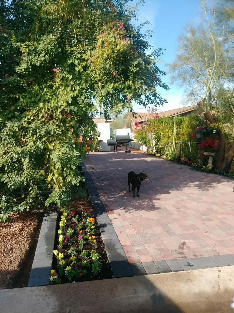 Top-rated landscape design in Phoenix, AZ - Praying Mantis Landscaping