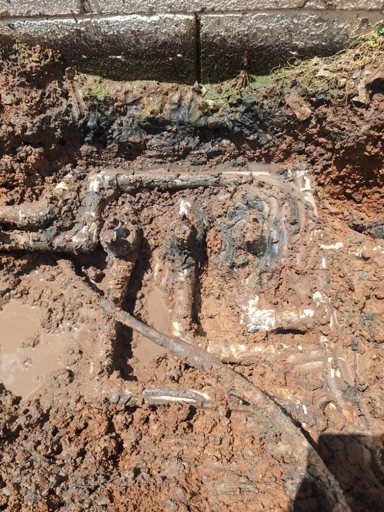 Trusted residential landscaping experts serving Phoenix, AZ - Praying Mantis Landscaping