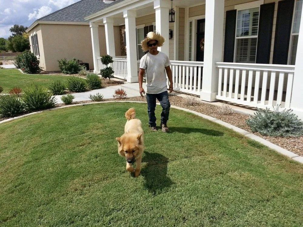 Expert outdoor landscaping near you in Phoenix, AZ by Praying Mantis Landscaping