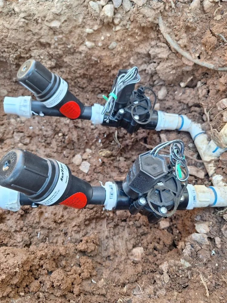 Local landscape design experts serving Phoenix, AZ - Praying Mantis Landscaping