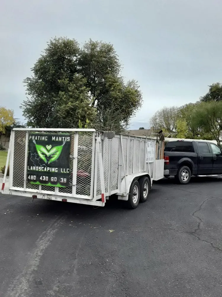 Custom yard maintenance in Phoenix, AZ by Praying Mantis Landscaping