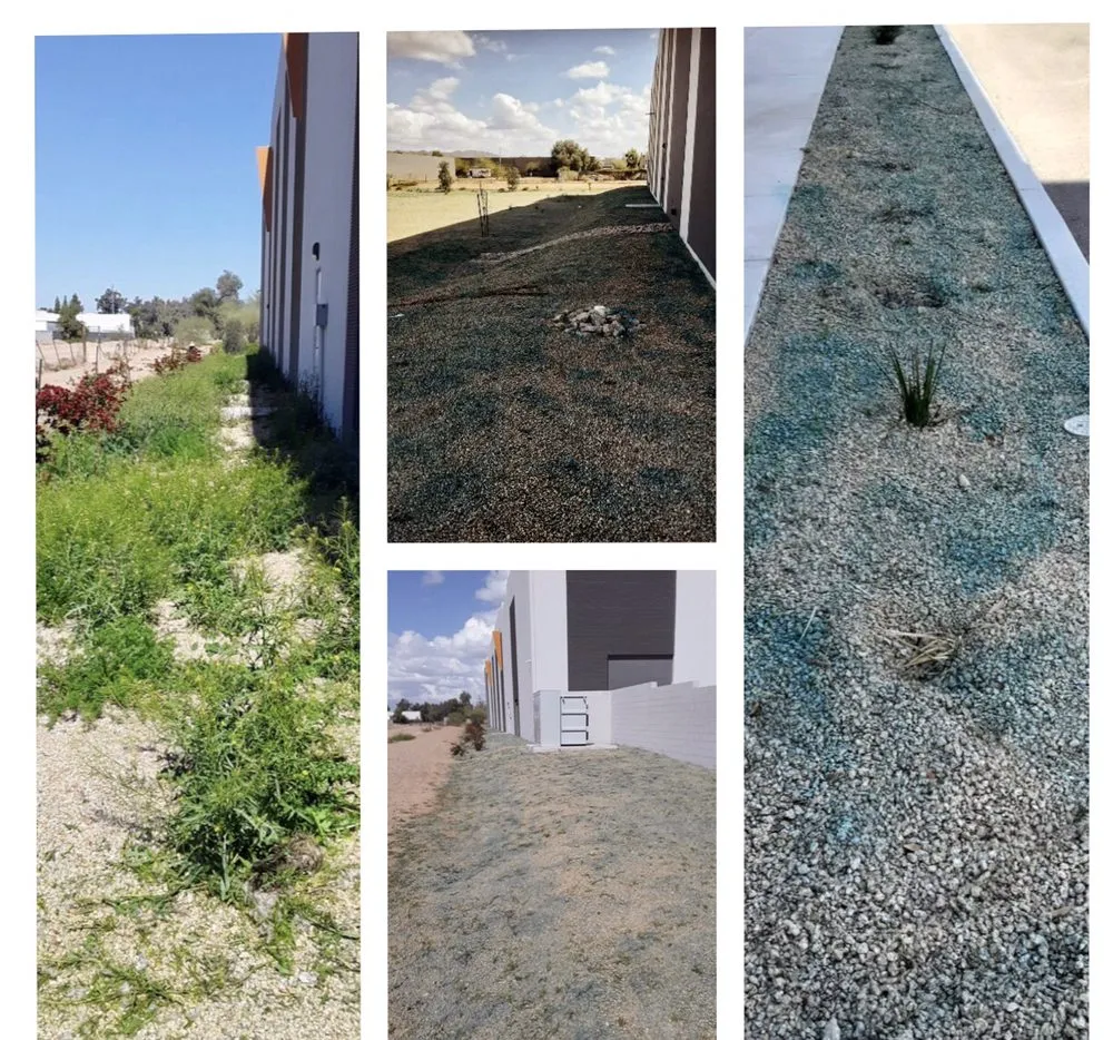 Trusted landscape installation in Phoenix, AZ - Praying Mantis Landscaping
