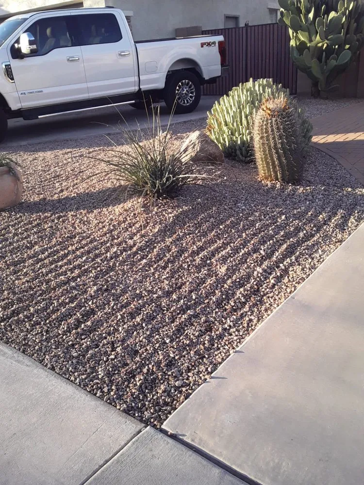 Affordable residential landscaping in Phoenix, AZ - Praying Mantis Landscaping