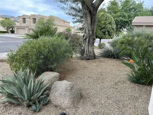 Praying Mantis Landscaping Logo