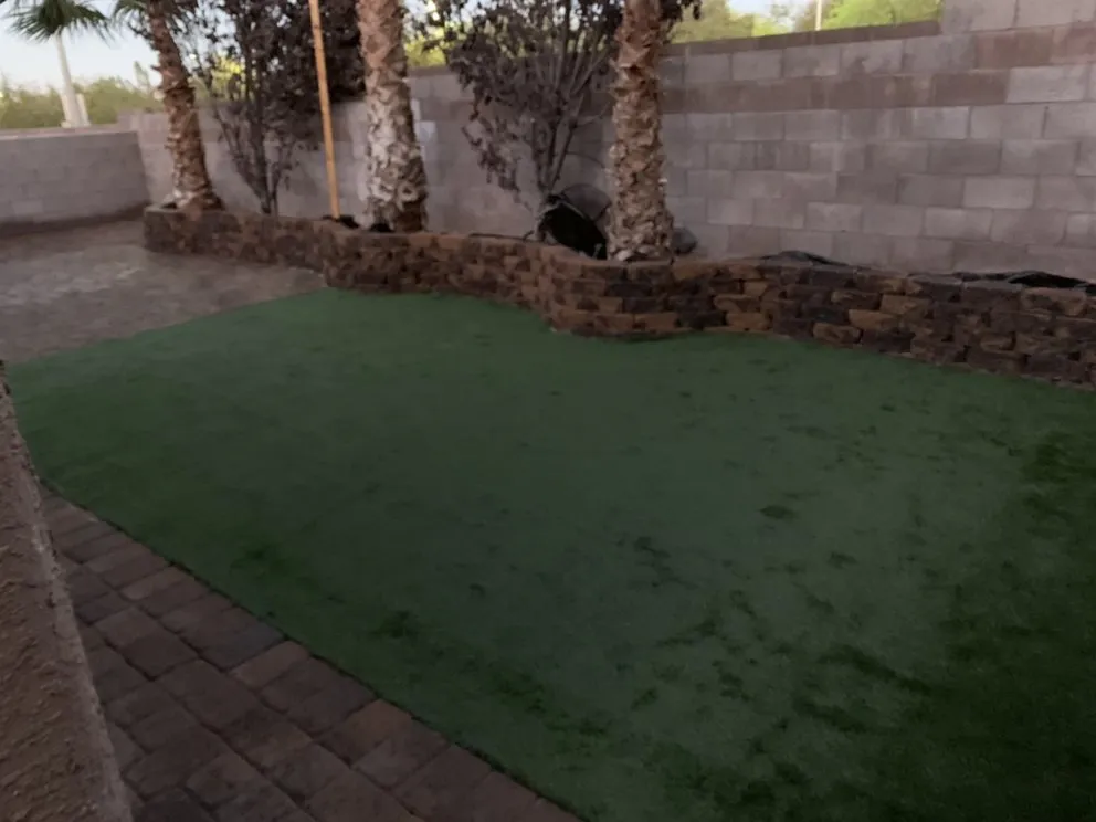 Trusted yard maintenance for year-round maintenance in North Las Vegas, NV by PRB Landscape