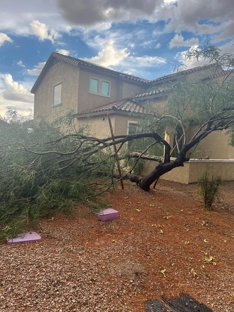 Affordable yard maintenance experts serving Tucson, AZ - PRC Landscaping Services