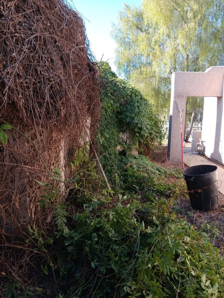 Custom residential landscaping for residential properties across Tucson, AZ - PRC Landscaping Services