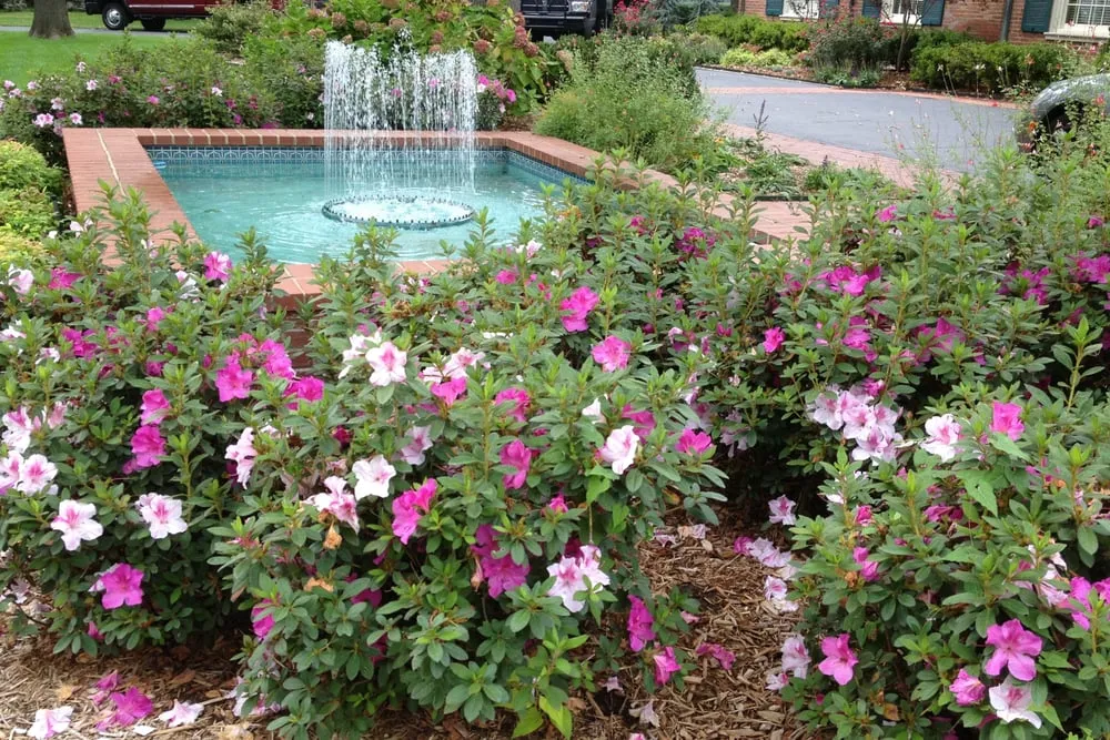 Professional residential landscaping with custom design across Tulsa, OK - Preaus Landscape of Tulsa