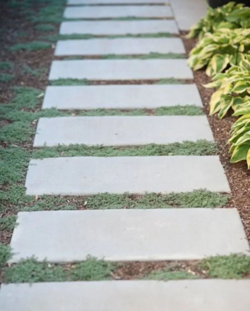 Top-rated yard cleanup service in Eustis, FL - Precast Pads