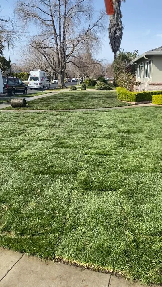 Professional landscape installation in San Jose, CA - Preciado Landscaping