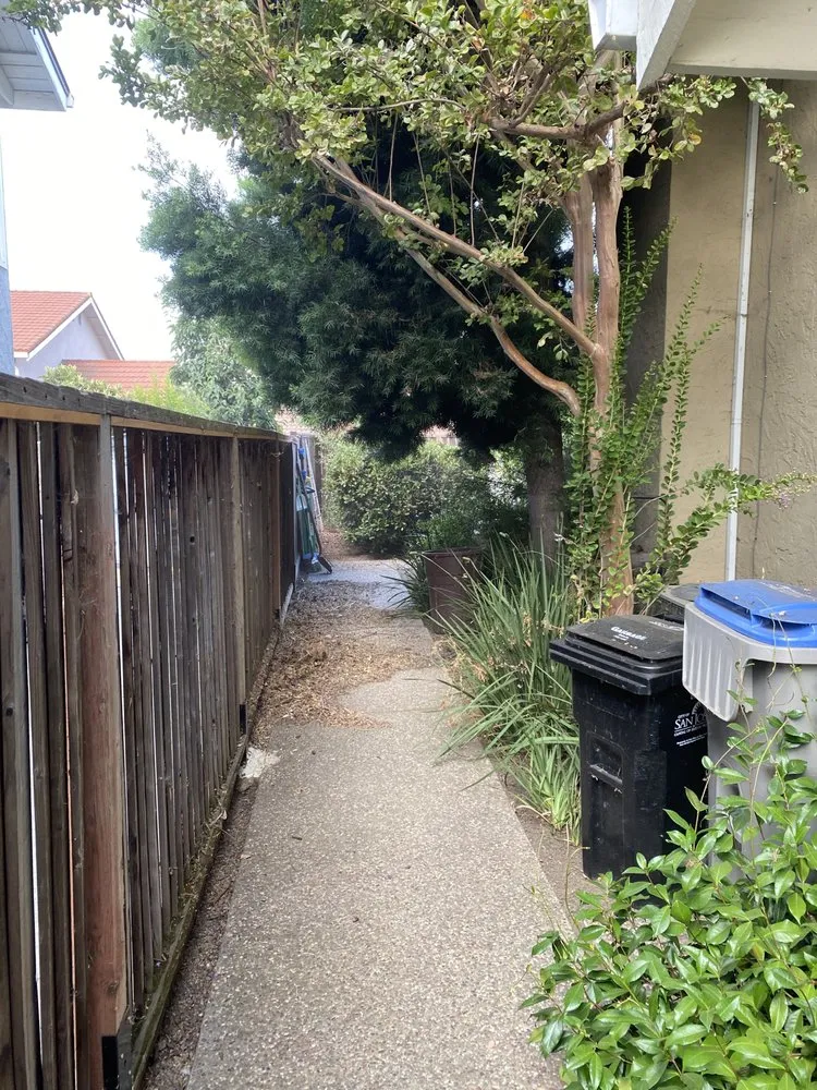 Expert lawn mowing service for beautiful yards in San Jose, CA by Preciado Landscaping