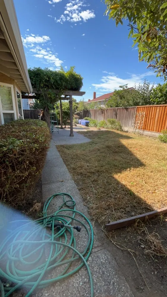 Trusted garden landscaping in San Jose, CA - Preciado Landscaping