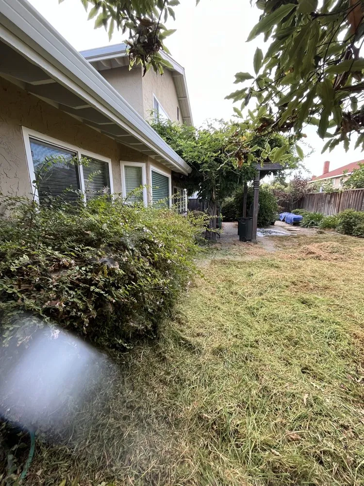 Expert landscape installation in San Jose, CA by Preciado Landscaping