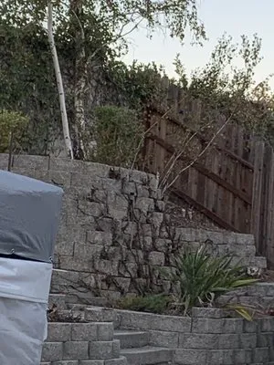 Preciados Landscaping