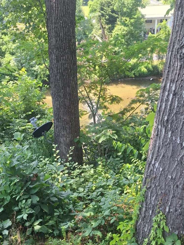 Expert landscaping services for homes across Harriman, TN - Precious Care Cleaning Services