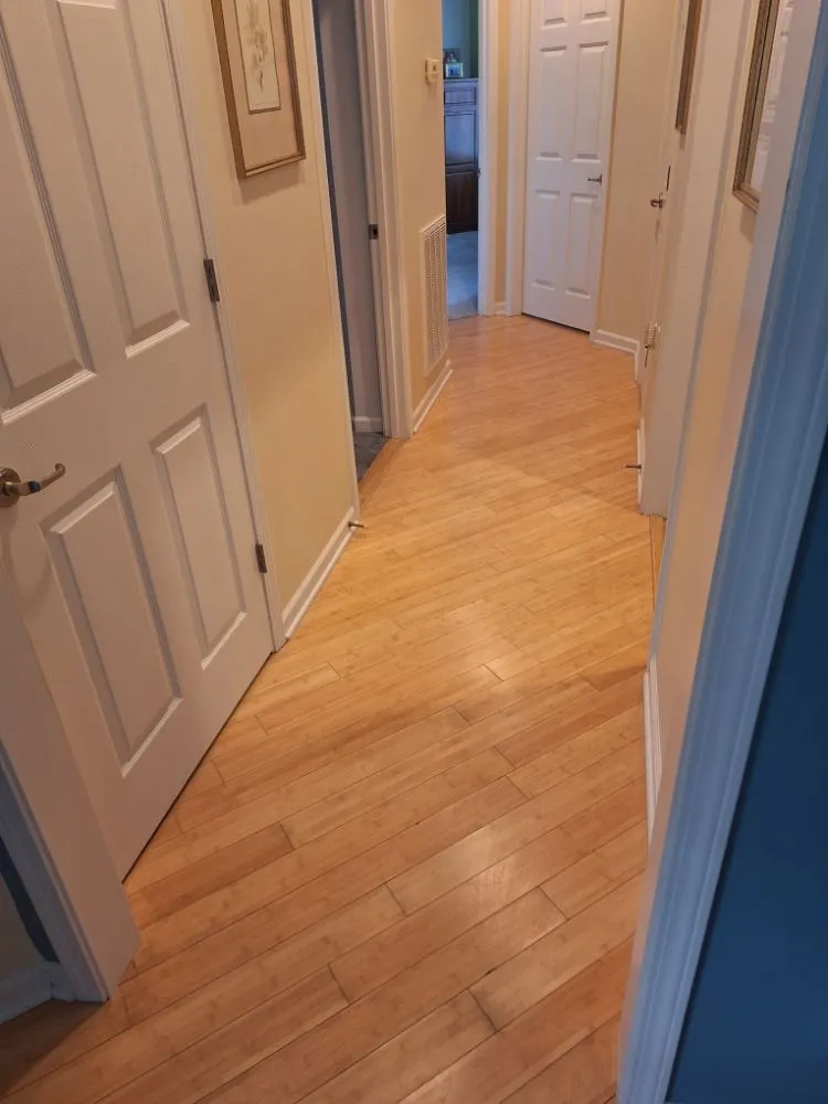 Reliable yard cleanup service with custom design in Harriman, TN by Precious Care Cleaning Services