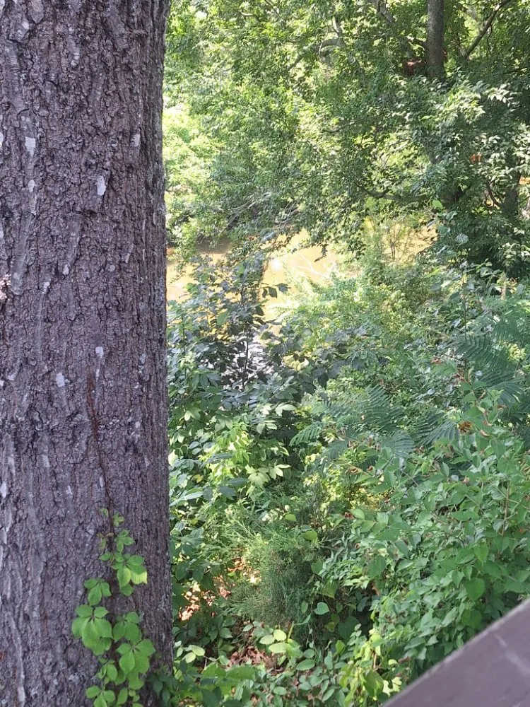 Reliable lawn care service in Harriman, TN - Precious Care Cleaning Services