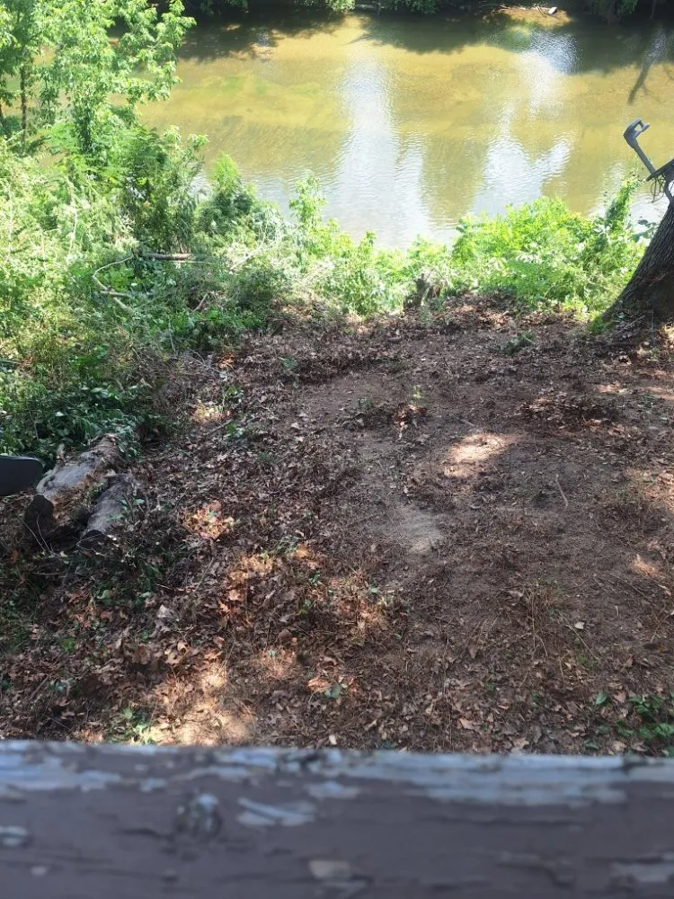 Trusted yard maintenance for residential properties in Harriman, TN by Precious Care Cleaning Services