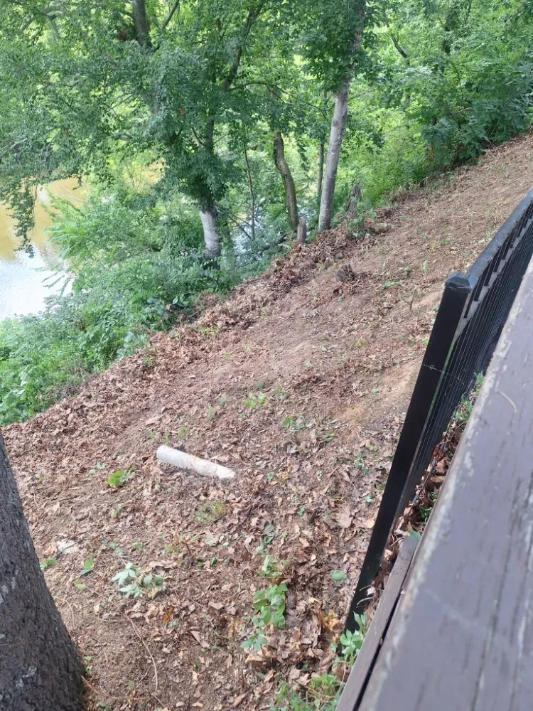 Expert landscaping services for residential properties across Harriman, TN - Precious Care Cleaning Services