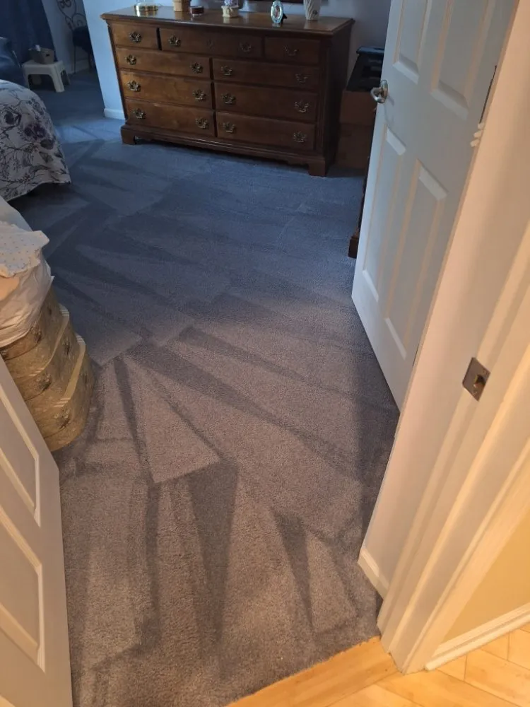 Professional outdoor landscaping in Harriman, TN by Precious Care Cleaning Services